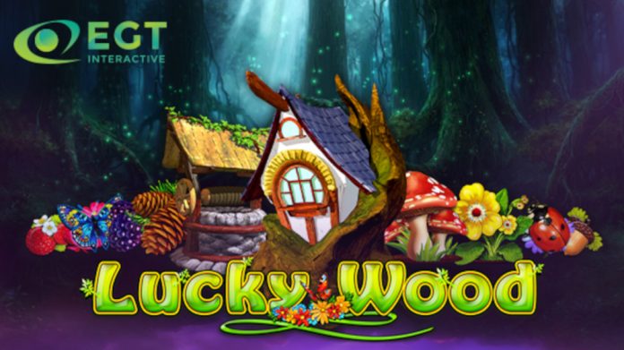 Egt interactive lucky wood video slot egt interactive lucky wood video slot